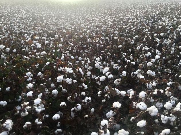 無(wú)人機(jī)值保.png 無(wú)人機(jī)值保.png